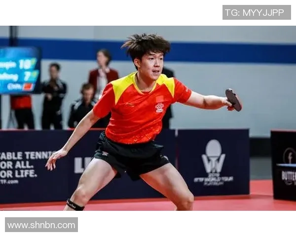 羽毛球赛事全锦赛冠军归属预测